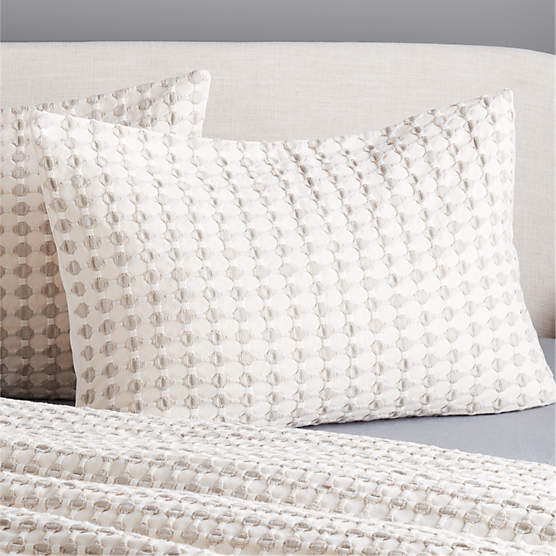 Estela Grey and White Organic Cotton Euro Pillow Shams Set of 2