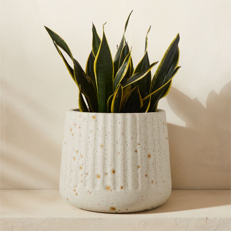 Etna White Glazed Indoor/Outdoor Planter Small - image 3 of 8