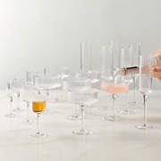 Eve Drinkware Collection Set of 18 | CB2