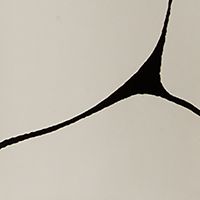 Warm White with Black