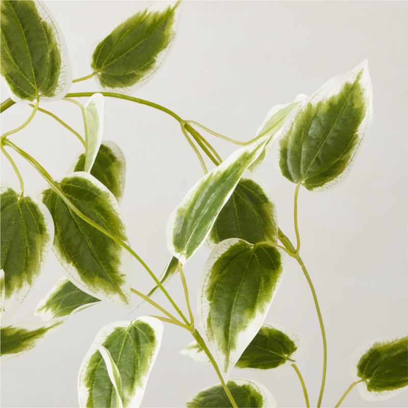 Faux Clematis Vine Stem 38" - image 1 of 2