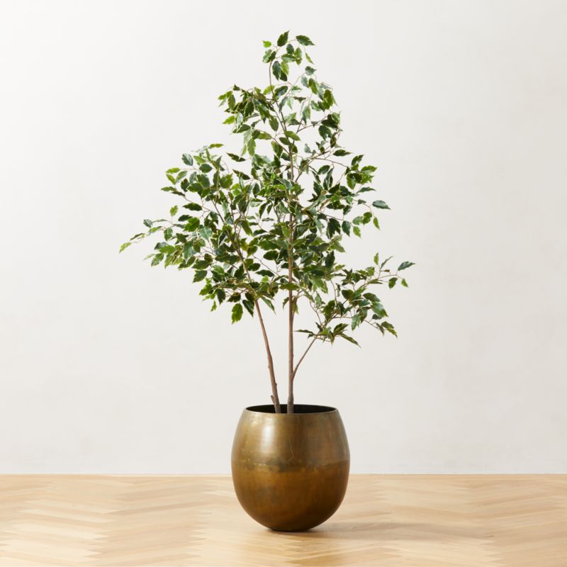 Faux Ficus Tree 6' - image 1 of 4