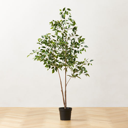 Faux Ficus Tree 6'