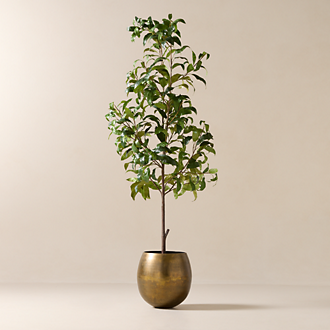 Faux & Live Plants