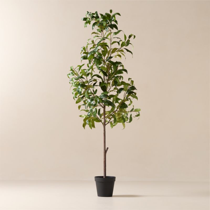 Faux Mango Tree 8' - image 0 of 3