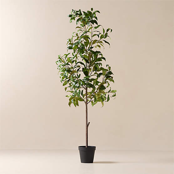 Faux Mango Tree 8'