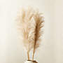View Faux Pampas Grass Taupe Stem 39" Set of 3 - image 1 of 3