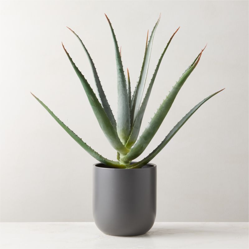 Faux Potted Aloe Vera Plant 26 Reviews CB2   FauxPottedAloe24p5inSHS23