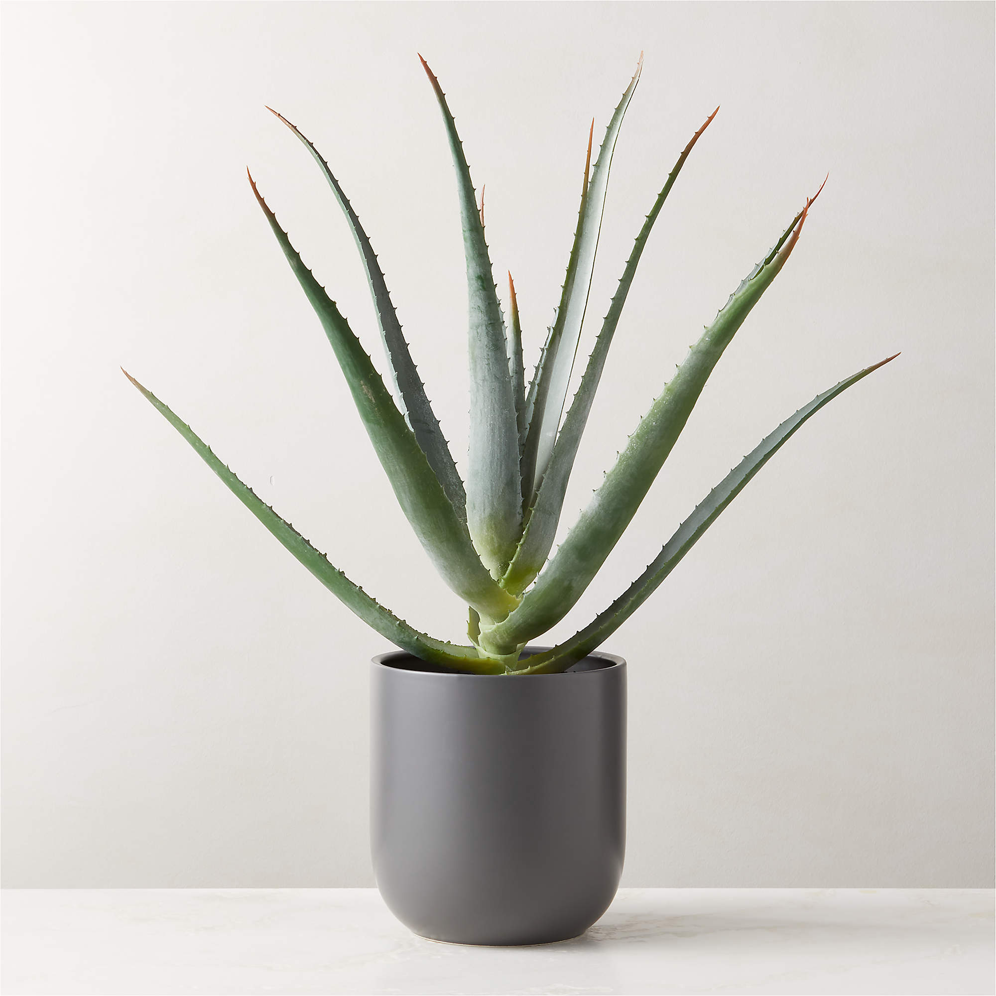 Faux Potted Aloe Vera Plant 26 Reviews CB2   Faux Potted Aloe Vera Plant 26 