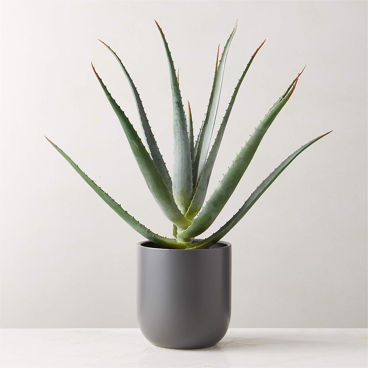 Faux Potted Aloe Vera Plant 26" + Reviews CB2