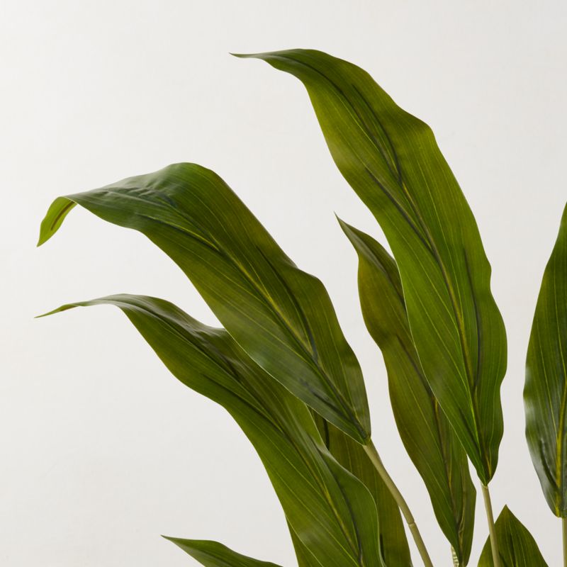 Faux Potted Iron Leaf Plant 35" - image 1 of 2