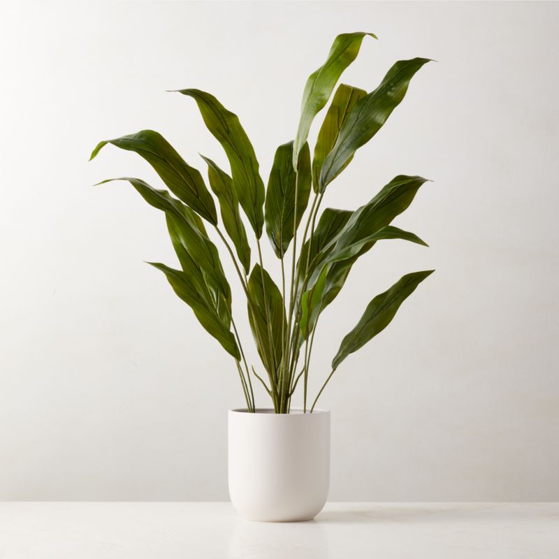 View Faux Potted Iron Leaf Plant 35" details