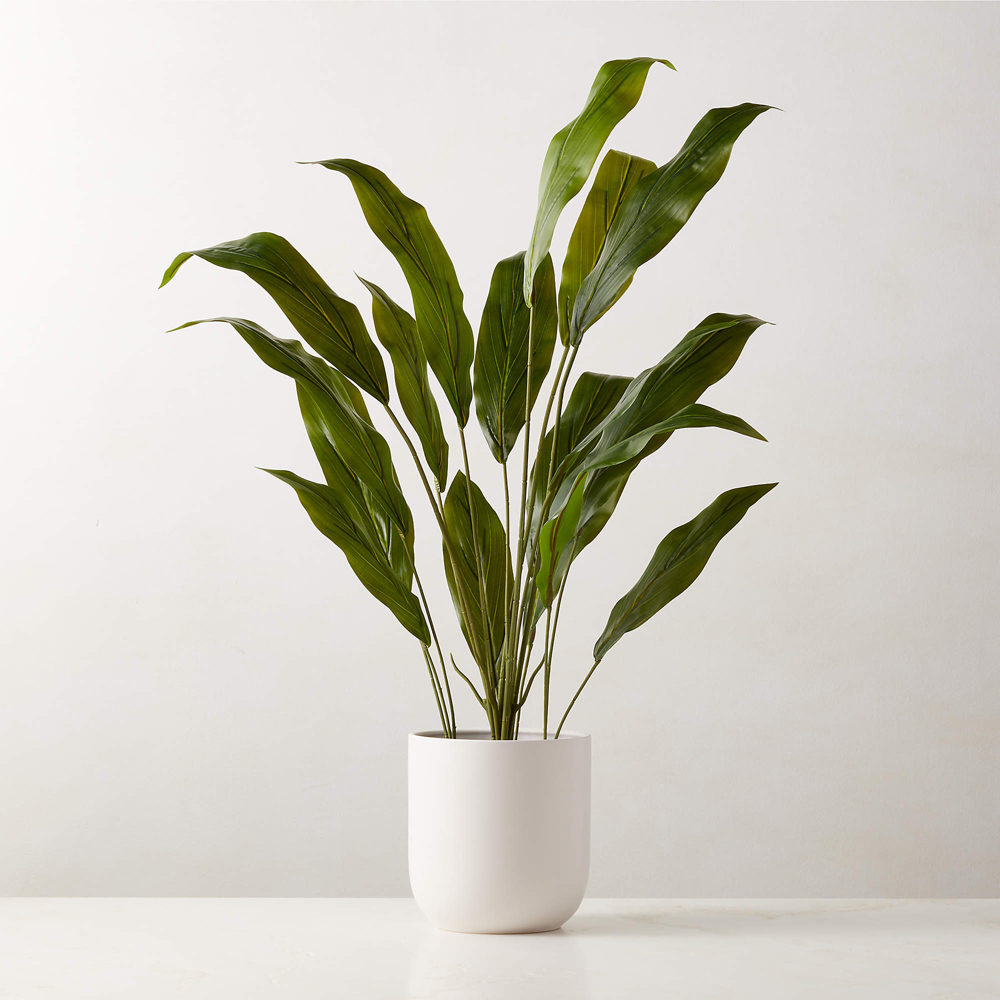 Faux Potted Iron Leaf Plant 35" + Reviews CB2