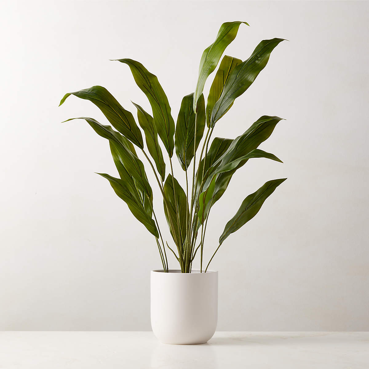 Faux Potted Iron Leaf Plant 35" + Reviews | CB2