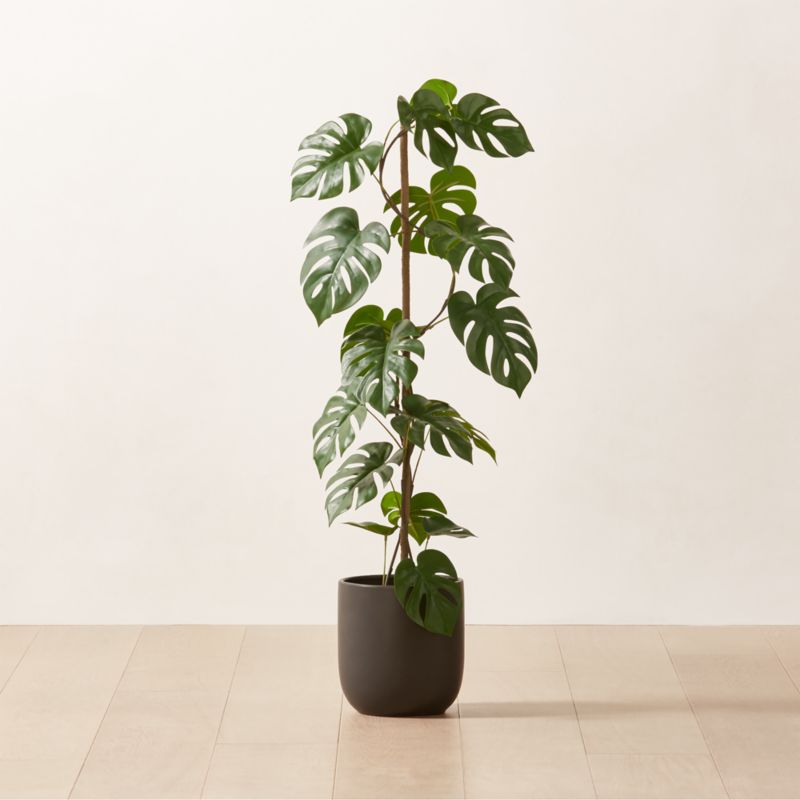 View Faux Potted Monstera Deliciosa 40" details