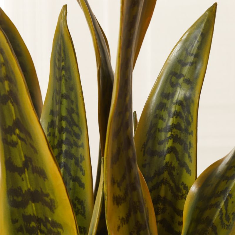 Faux Artificial Snake Plant in Pot Yellow Edged Leaf – RusticReach