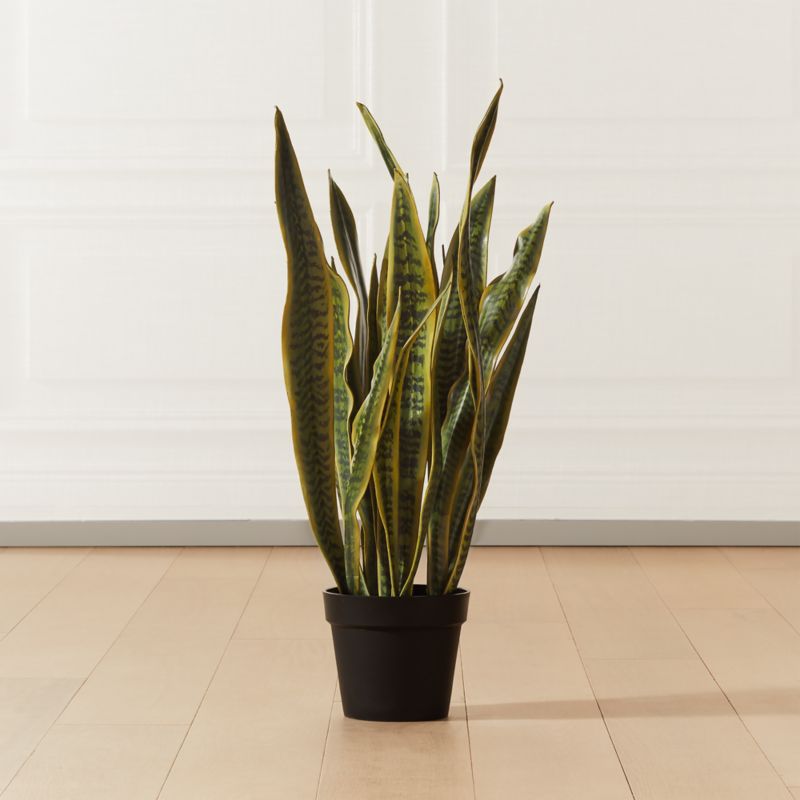 Faux Potted Snake Plant