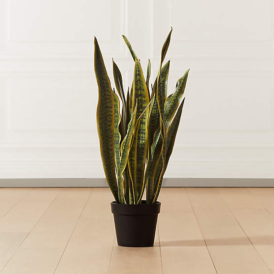 Faux Potted Snake Plant 3'