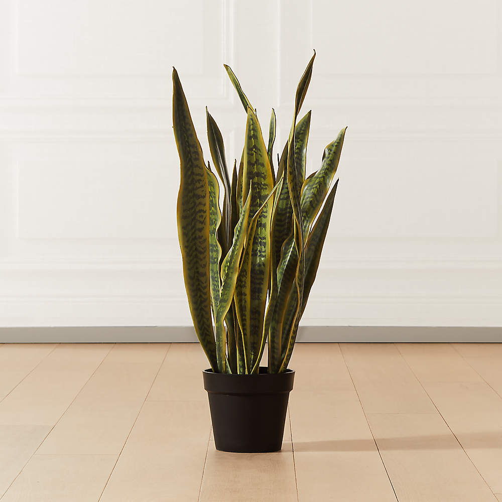 Faux Potted Snake Plant 3 + Reviews | CB2