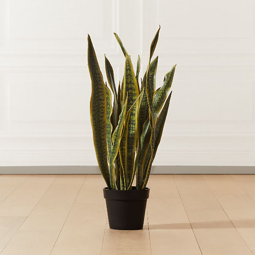 Faux Potted Snake Plant 3'