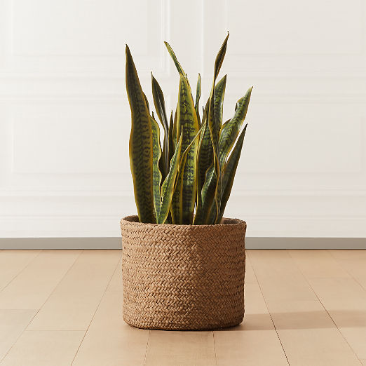 Faux Potted Snake Plant 3'