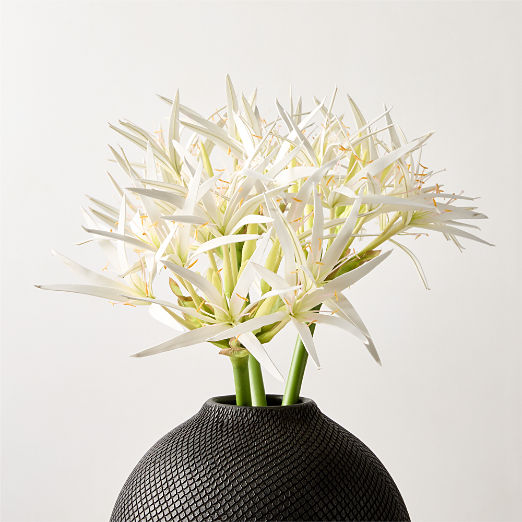 Faux White Spider Lily Stem 24"