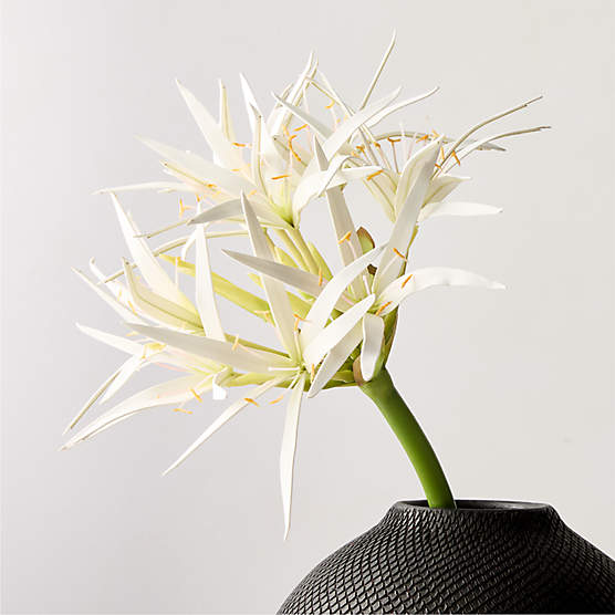 Faux White Spider Lily Stem 24"