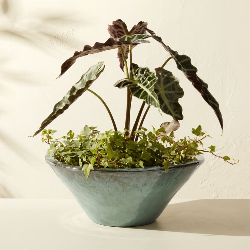 Favana Green Reactive Glazed Ceramic Indoor/Outdoor Planter Bowl Large - image 0 of 9