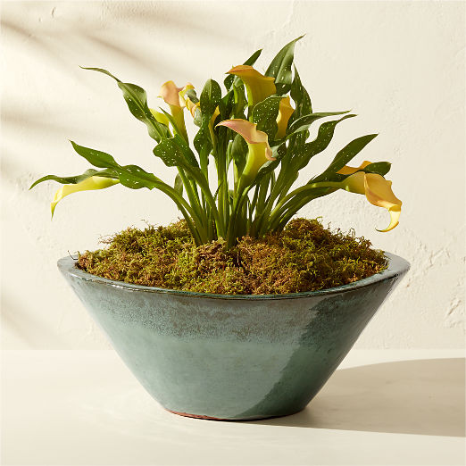 Favana Green Reactive Glazed Ceramic Indoor/Outdoor Planter Bowl Small