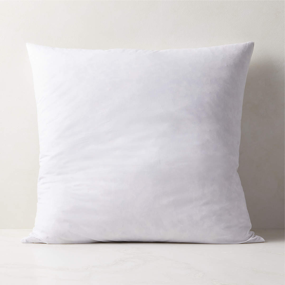 26" FeatherDown Modern Throw Pillow Insert + Reviews CB2