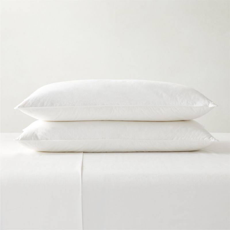 Feather-Down King Pillow Inserts Set of 2 - image 0 of 2