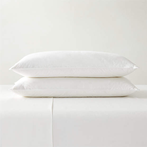 FeatherDown King Pillow Insert + Reviews CB2