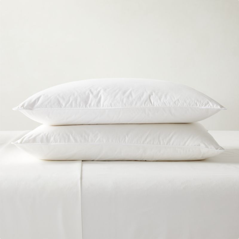 Feather-Down Standard Pillow Inserts Set of 2 - image 0 of 2