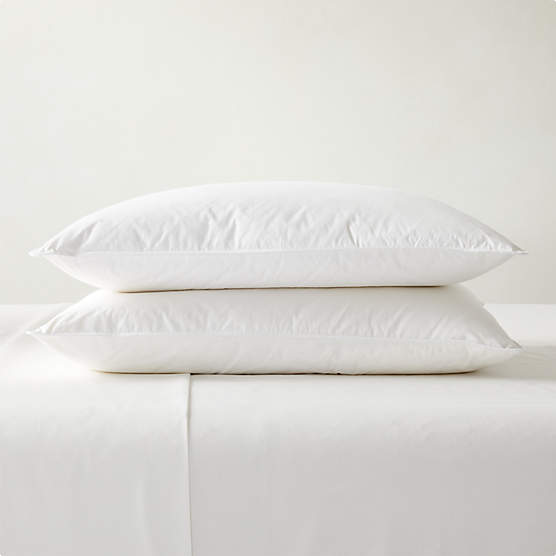 Feather-Down Standard Pillow Insert + Reviews | CB2