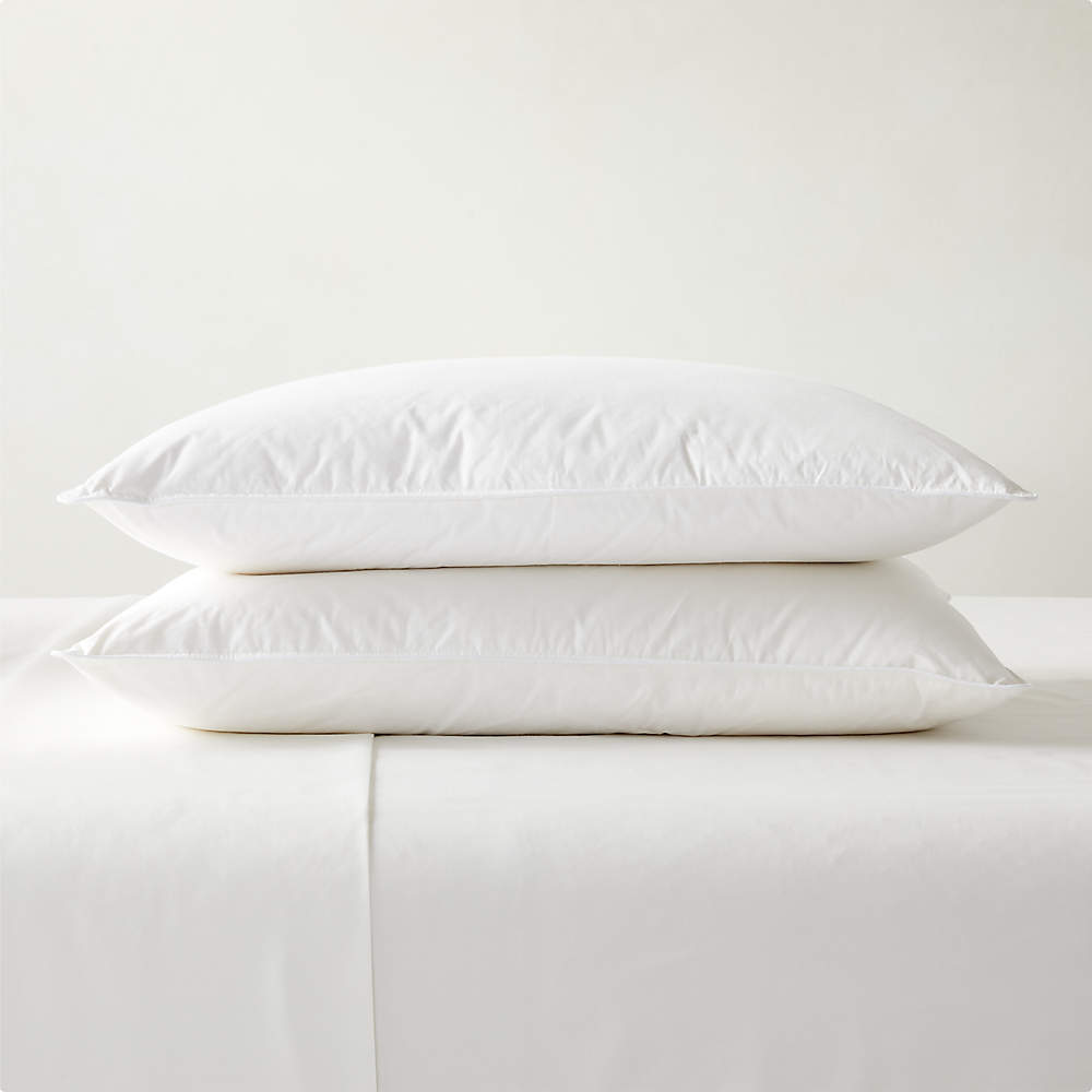 Hypoallergenic Down-Alternative Modern Throw Pillow Insert 36x16'' +  Reviews