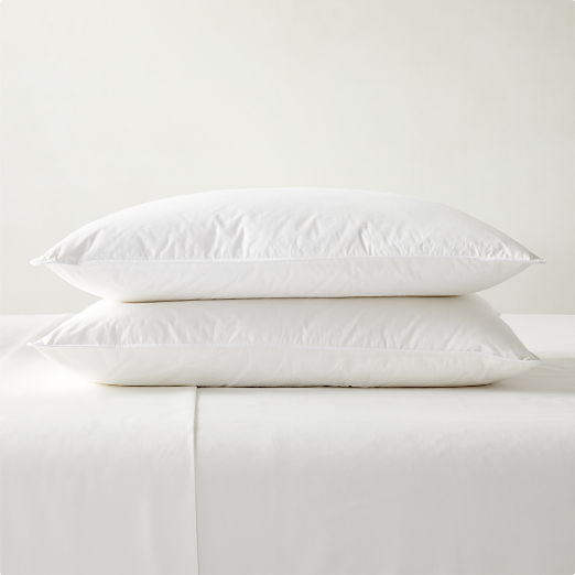 Feather-Down Standard Pillow Inserts Set of 2