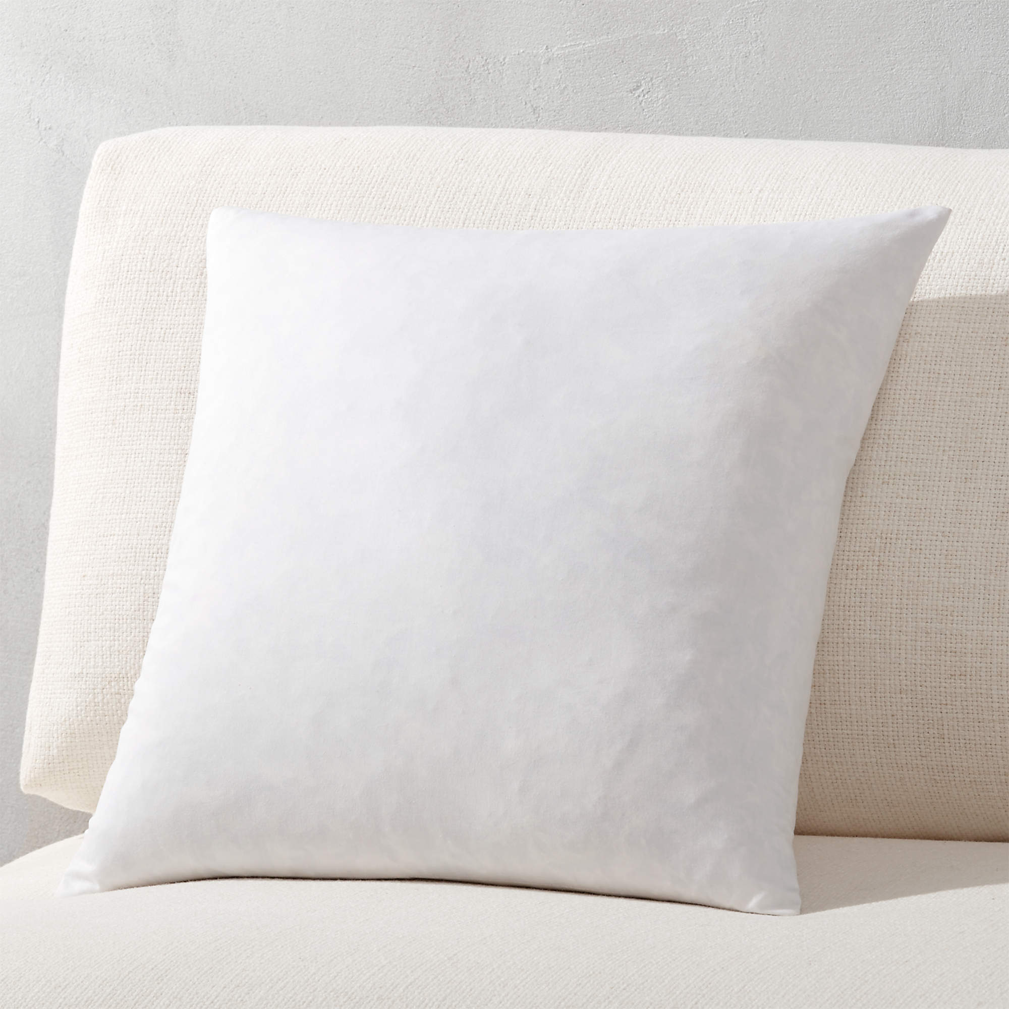FeatherDown Square Modern Throw Pillow Inserts CB2