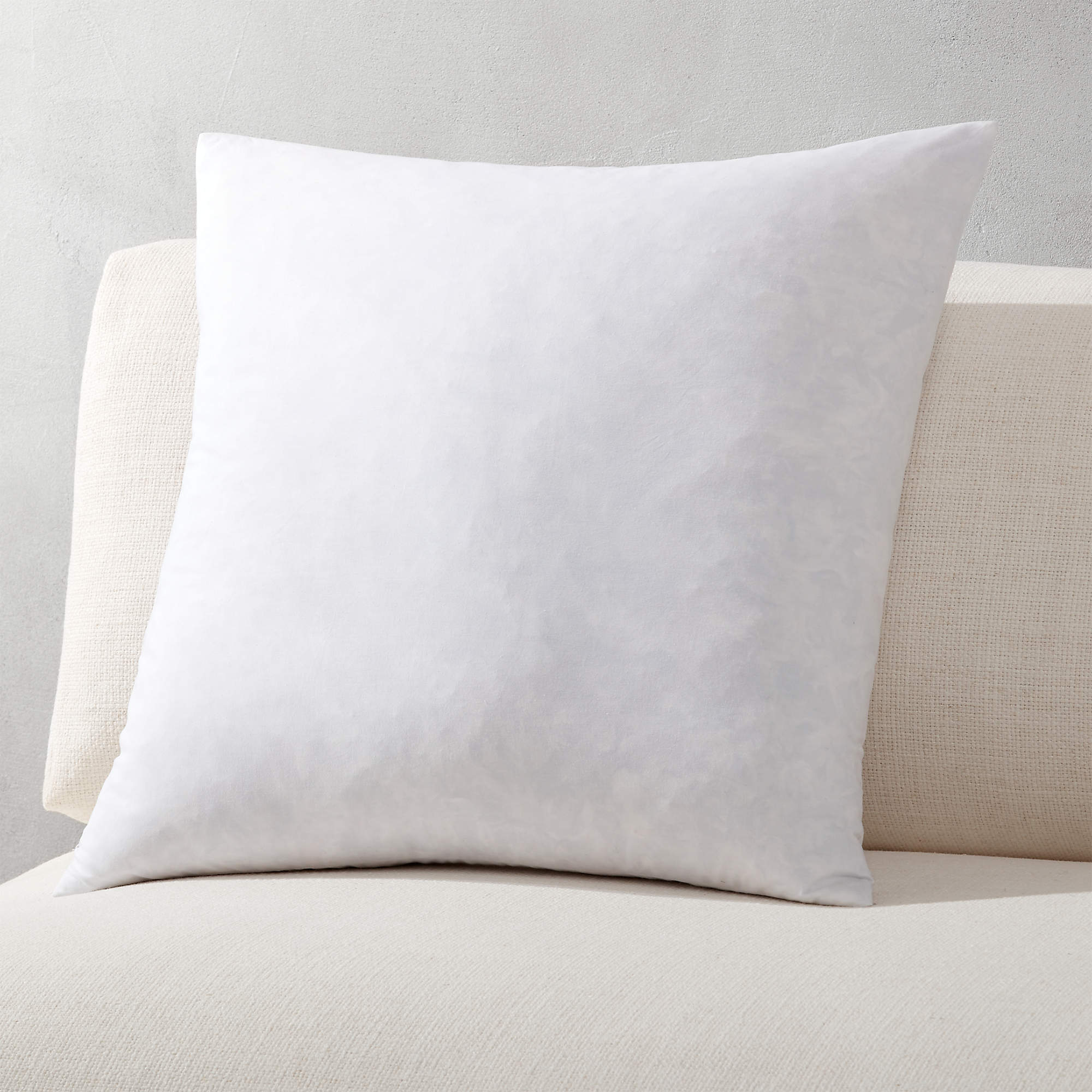 20" FeatherDown Throw Pillow Insert + Reviews CB2