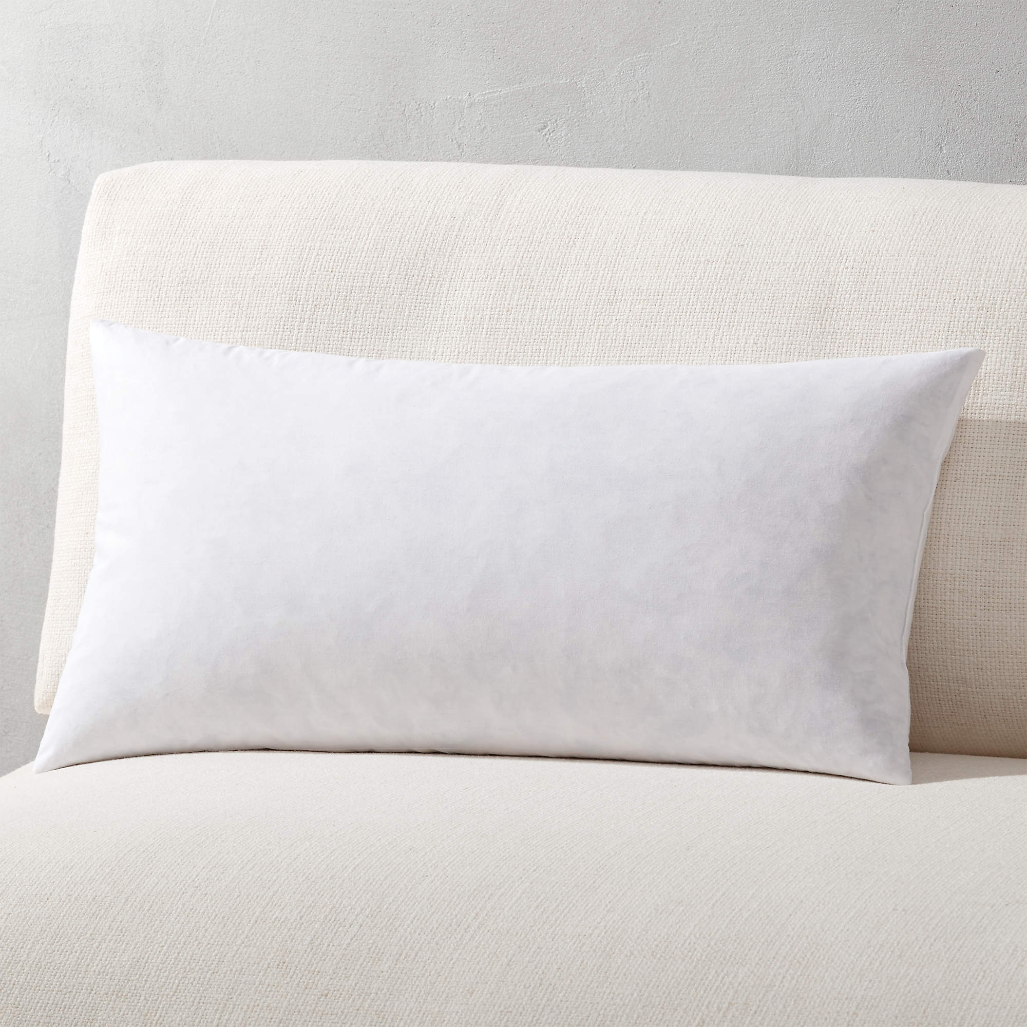 FeatherDown Rectangular Modern Throw Pillow Inserts CB2