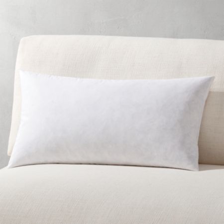 23 X11 Feather Down Pillow Insert Reviews Cb2