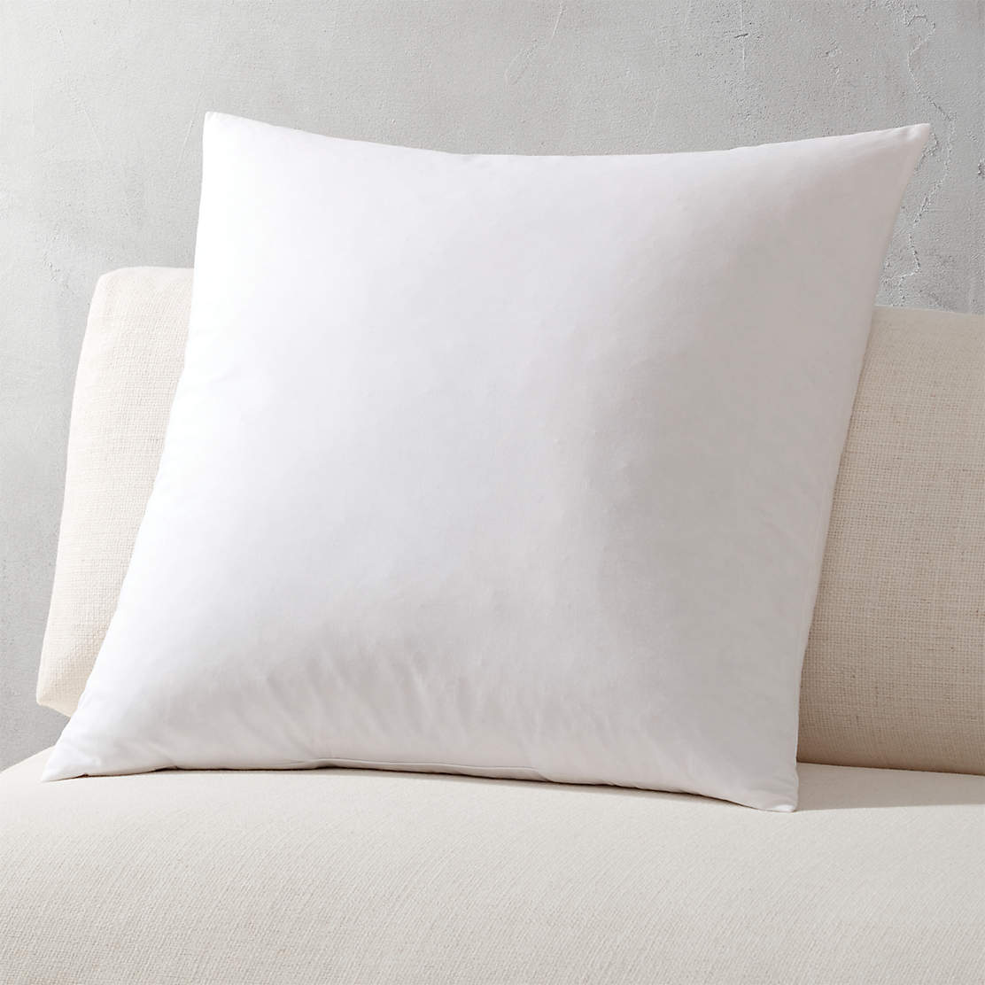 20" FeatherDown Throw Pillow Insert + Reviews CB2