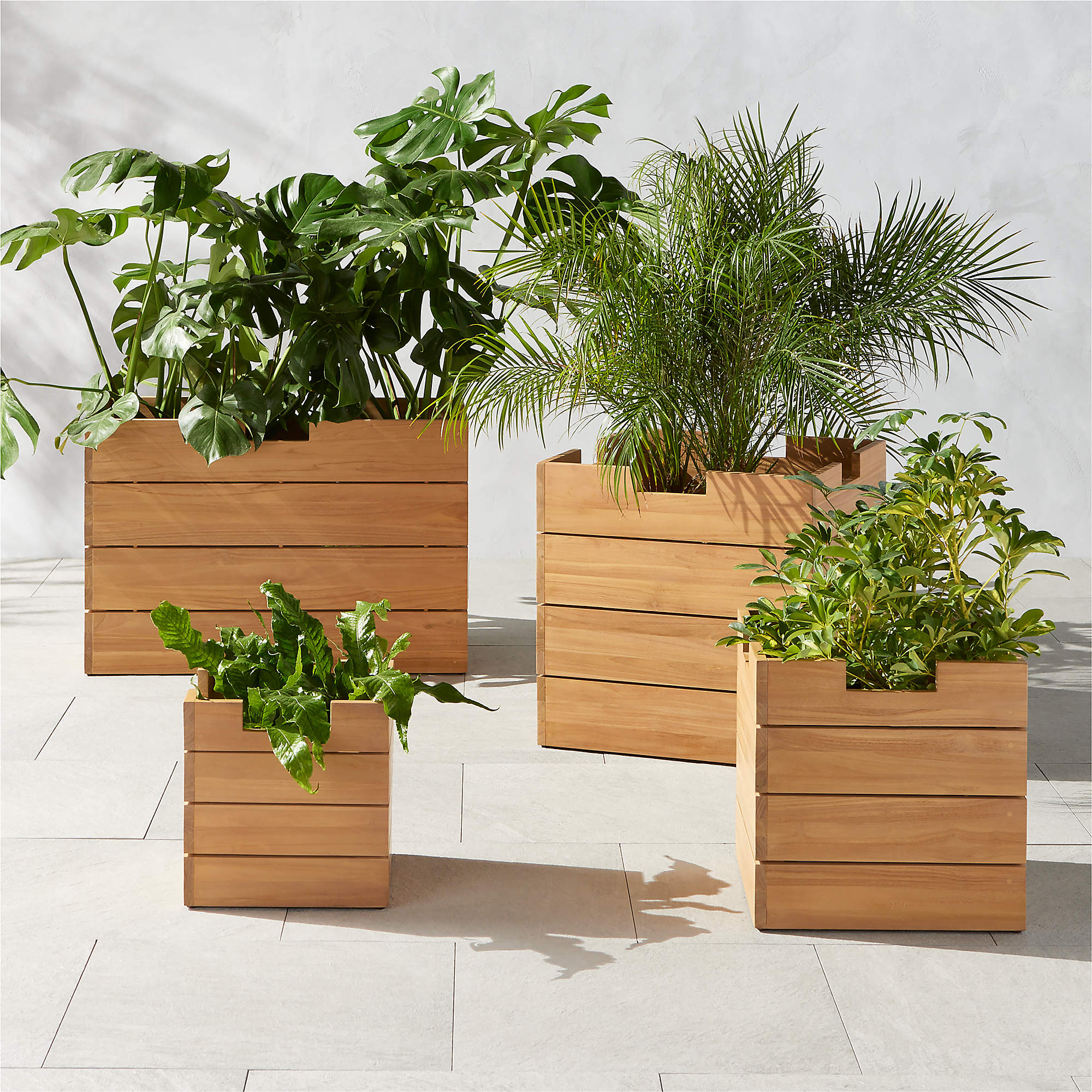 Ferrat Teak Outdoor Planters CB2