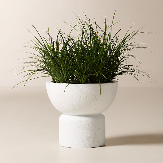 Flatform White Cement Indoor/Outdoor Medium Planter 14.25"H