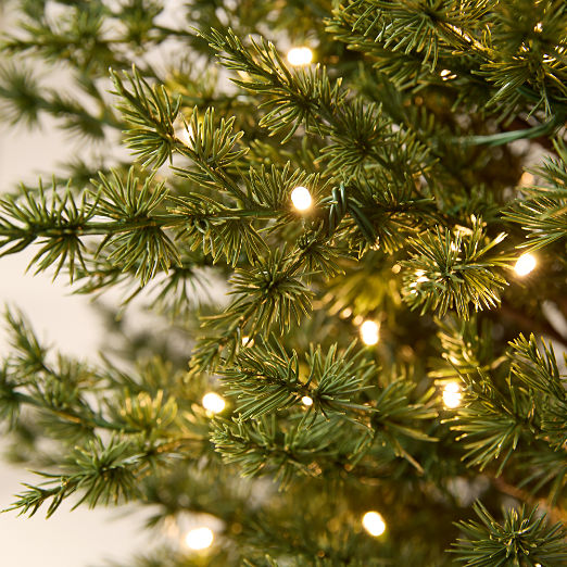 Faux Italian Cypress Pre-Lit LED Christmas Tree 6'