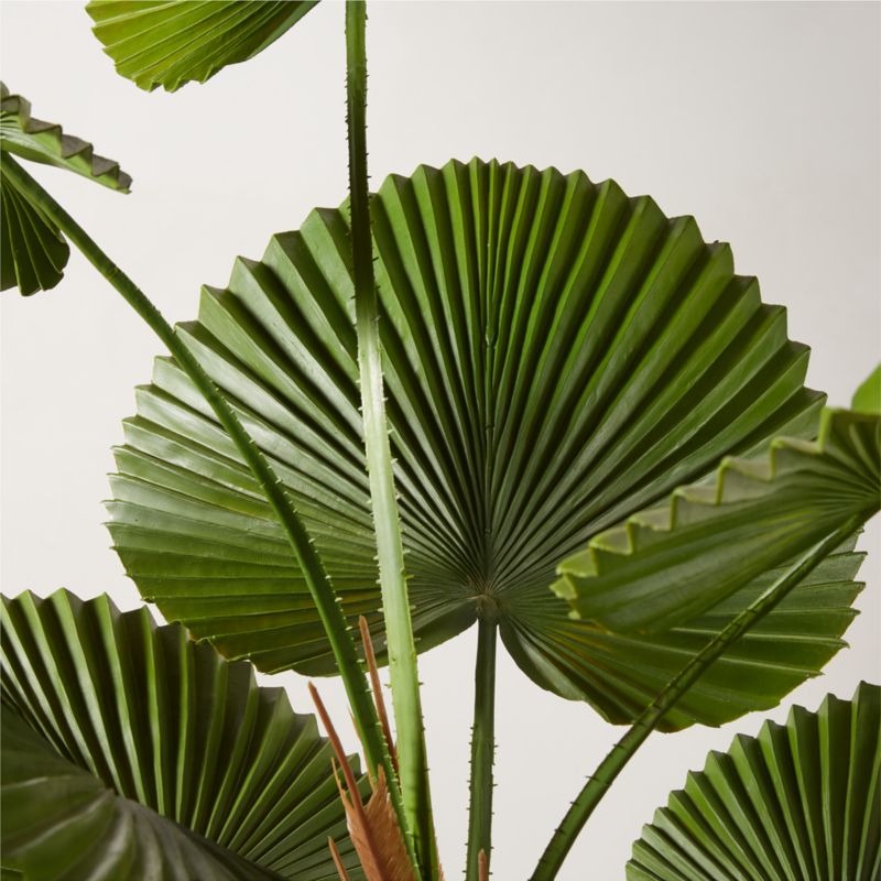 Faux Potted Licuala Cordata Palm Tree 4' - image 2 of 3