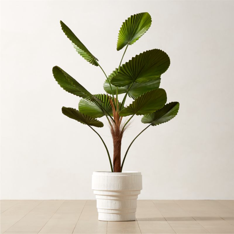 Faux Potted Licuala Cordata Palm Tree 4' - image 1 of 3