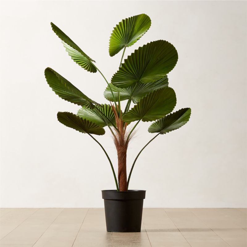 Faux Potted Licuala Cordata Palm Tree 4' - image 0 of 3