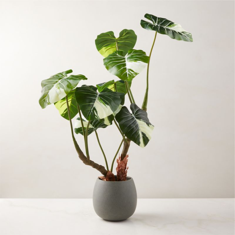 Faux Potted Philidendron Gloriosum Plant 31" - image 0 of 3