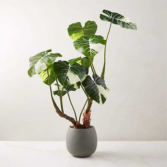 Faux Potted Philidendron Gloriosum Plant 31"