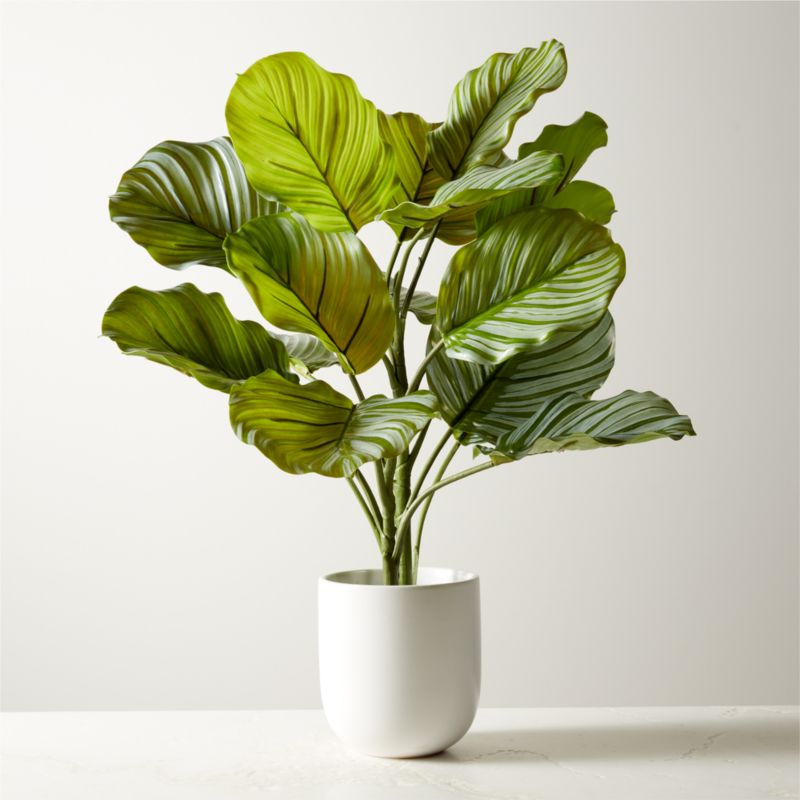 Image of CB2 Faux Potted Watermelon Peperomia Plant